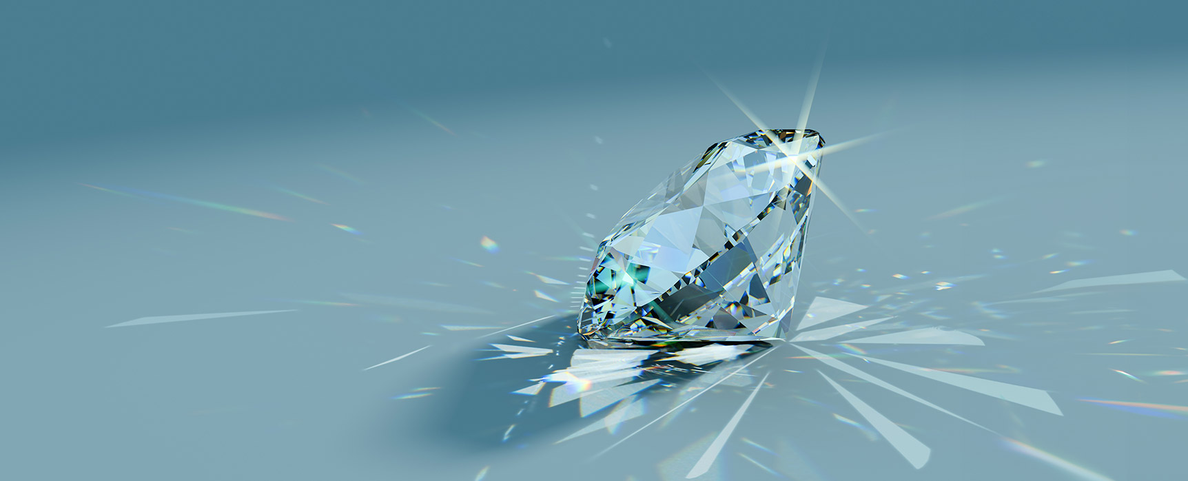 Hero Banner Image Fine Art and Specie