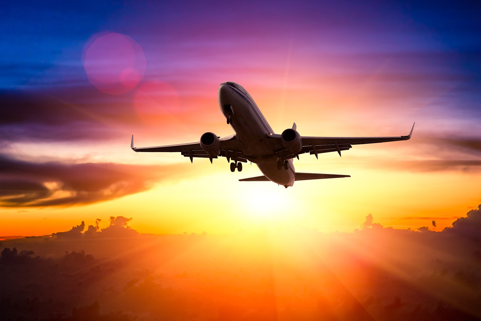 Hero Image for Specialty Solutions, Elevated