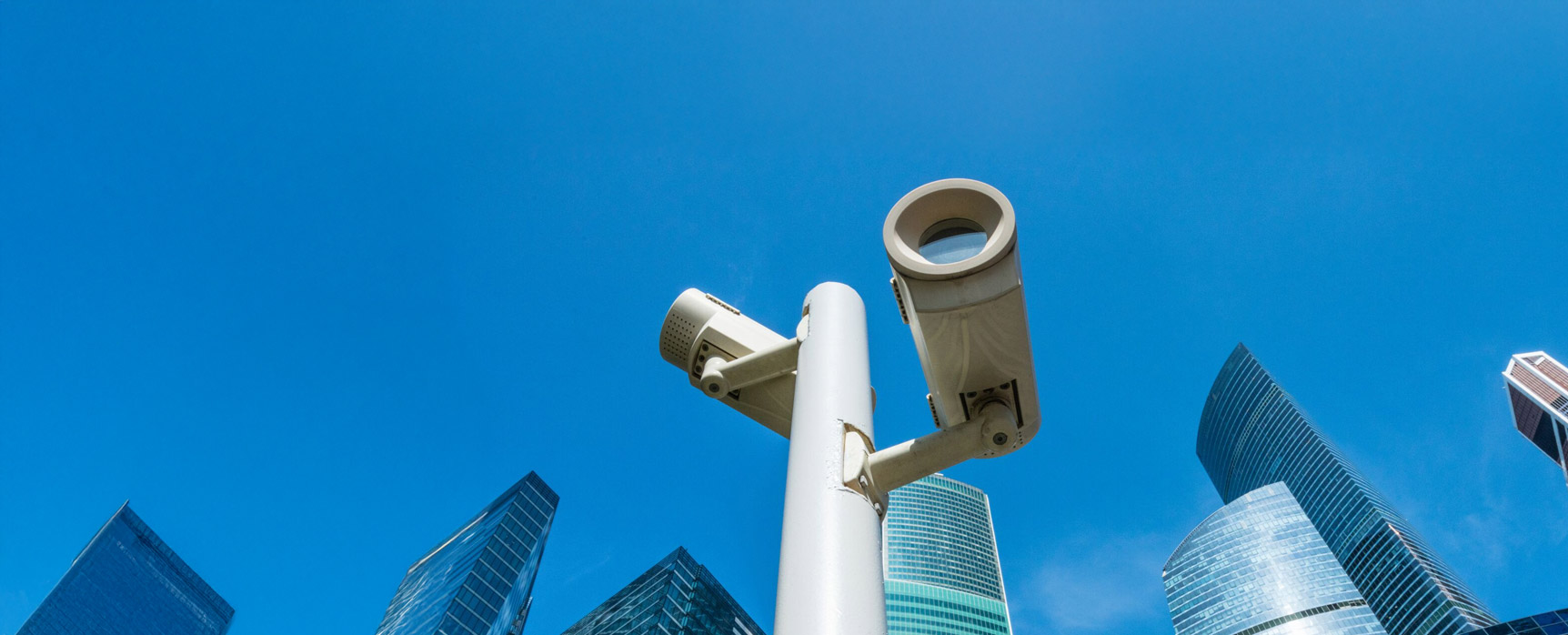 Hero Banner Image Fine Art and Specie